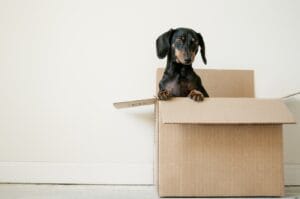 Moving Soon? 8 Essential Steps Every Renter Should Take First