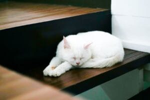 7 Simple Tips to Create a Relaxing De-Stress Zone at Home
