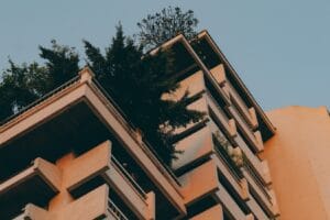 How to Grow Plants in Your Apartment: A Beginner’s Guide