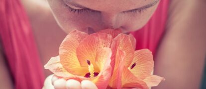 6 Smell Prone Areas In Your Home That You Should Check