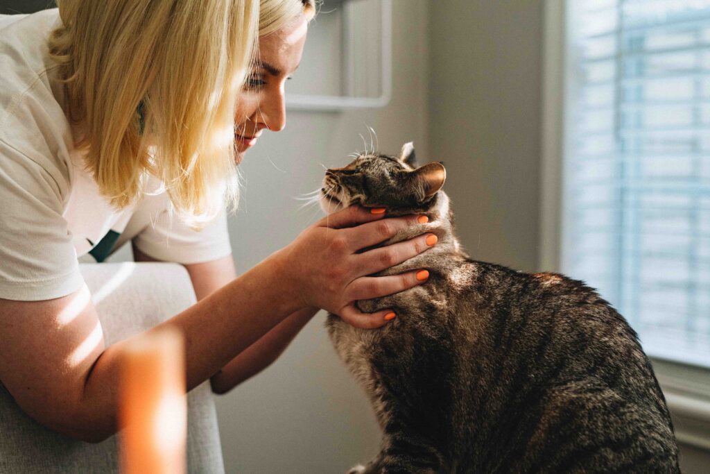 owner looking her cat in the eyes