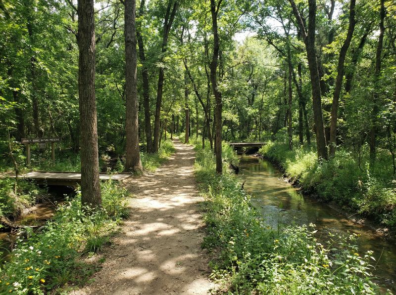 Forest trail with creek and wooden sign