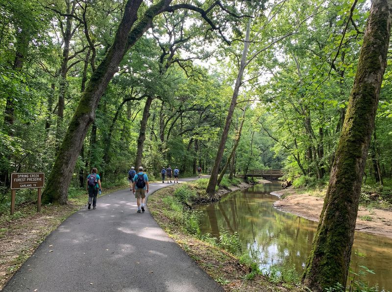 People walking on forest trail by creek