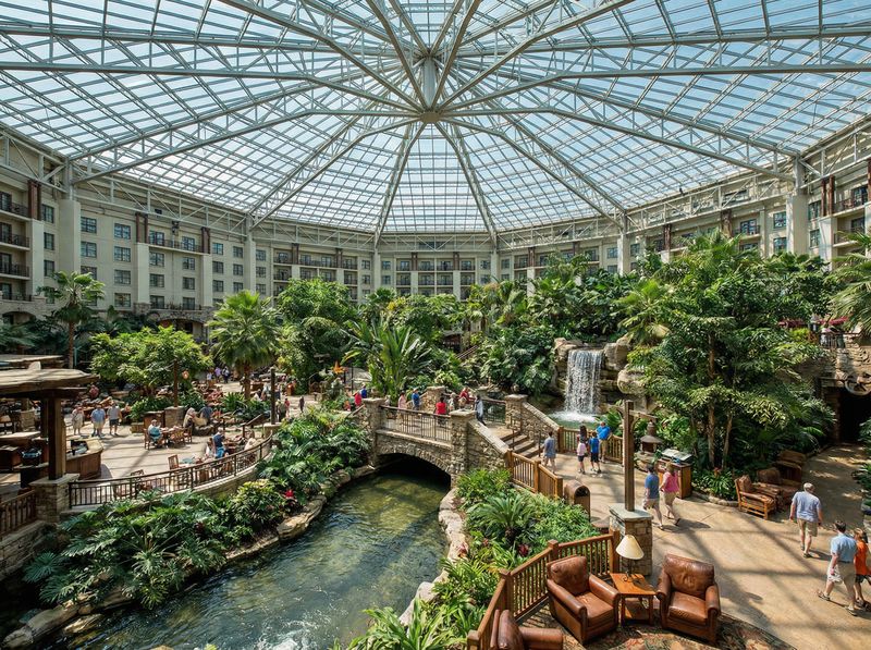 Indoor tropical garden with glass ceiling