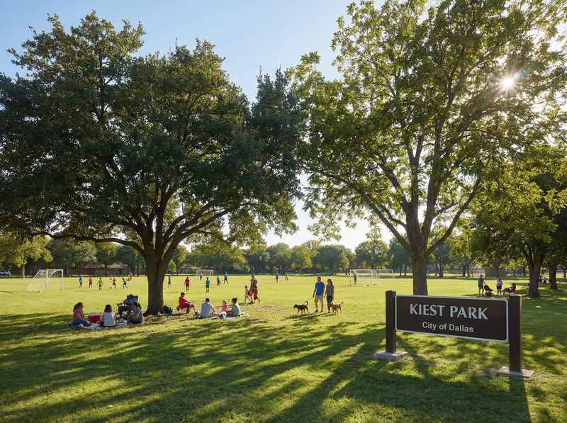 People enjoying leisure time at Kiest Park.