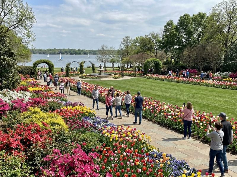 People strolling through a vibrant garden path