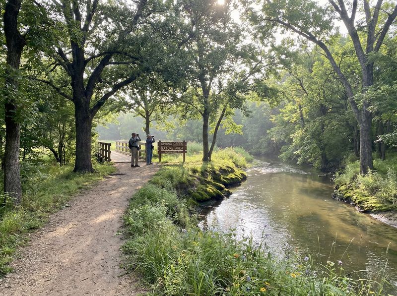 Pathway beside a serene creek with trees.