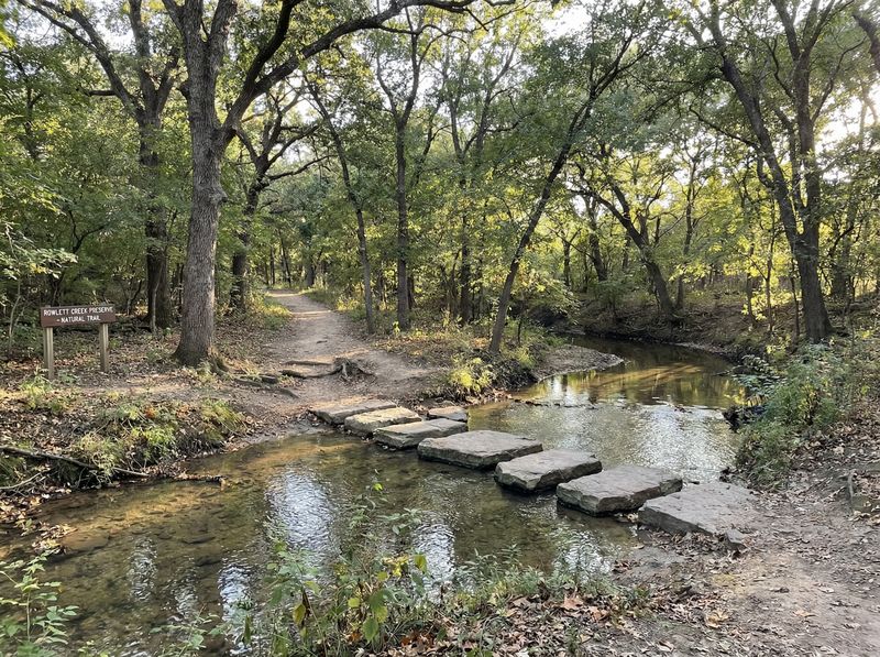Stone path crossing over forest creek