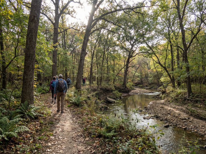 Hikers walking along a forest trail