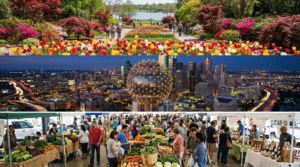 Top Places to Visit in Dallas: A Renters Guide to the Best Attractions (2026)